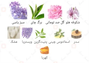 ادکلن زنانه اکلایر روونا 40 میل