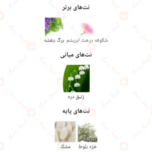 ادکلن زنانه ایونتس روونا 40 میل