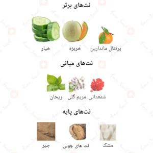 ادکلن مردانه بلو روونا 40 میل