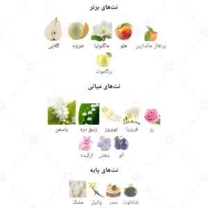 ادکلن زنانه جادوکس روونا 40 میل