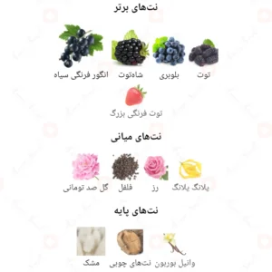 ادکلن زنانه امیتیکتا روونا