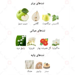 ادکلن مردانه اسپلشد روونا 