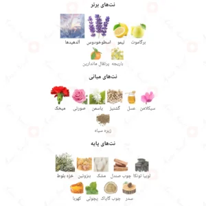 ادکلن مردانه لیدرشیپ فور من روونا