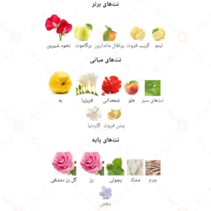  ادکلن زنانه مای روونا 