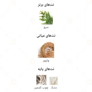 ادکلن مردانه نویر روونا 40 میل