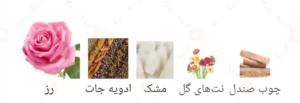 ادکلن مردانه وصل روونا