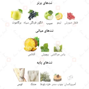 ادکلن مردانه ونتور روونا 