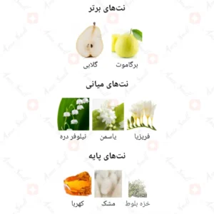 ادکلن یونیسکس مارچ روونا