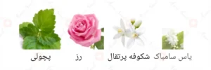 ادکلن زنانه میس روونا 40 میل