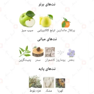 ادکلن یونیسکس گرین روونا 