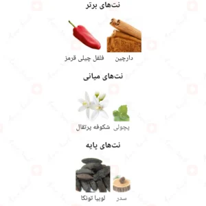 ادکلن مردانه گود هوم روونا