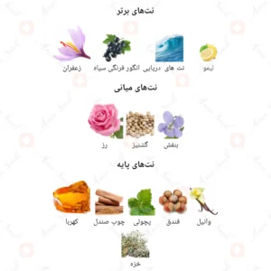 ادکلن مردانه الکسیر آرورا سنتس