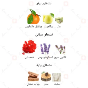ادکلن مردانه جمینی آرورا سنتس