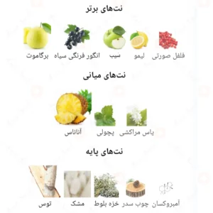 ادکلن مردانه ادونچر روونا 40 میل
