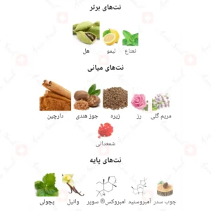 ادکلن مردانه الیت آرورا سنتس
