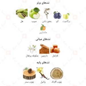 ادکلن مردانه الیت ویایپی آرورا سنتس