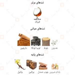 ادکلن زنانه انجلیکا شیپ روونا 40 میل
