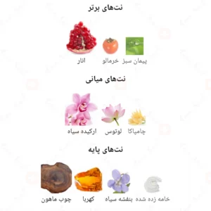  ادکلن زنانه ایفوریا روونا 40 میل