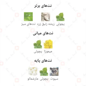 ادکلن مردانه برنادوت رگنار پارفوم