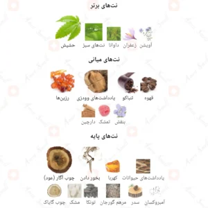 ادکلن مردانه بلک اوگان روونا 40 میل
