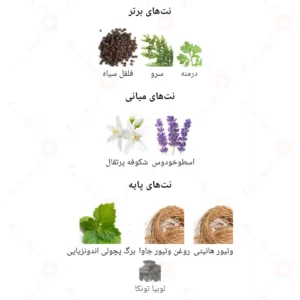 ادکلن یونیسکس بلک پایتون آرورا سنتس