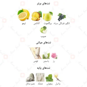 ادکلن مردانه بلک کلاب روونا