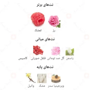 ادکلن زنانه تزور نایت روونا 40 میل