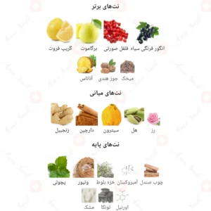 ادکلن مردانه ادونچر ابسولوت روونا