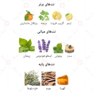  ادکلن مردانه اوپک ادورس روونا