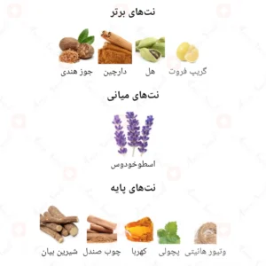ادکلن مردانه سیوینگ اگزیست روونا 40 میل