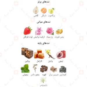 ادکلن زنانه ل نایت تیسور روونا