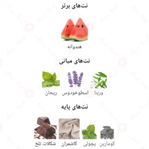 ادکلن مردانه لاکونیک نویر روونا 