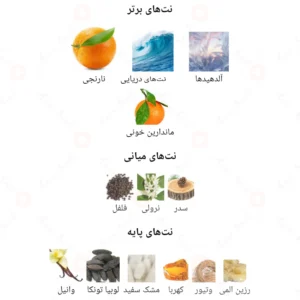 ادکلن مردانه هوم اسپورت روونا 40 میل