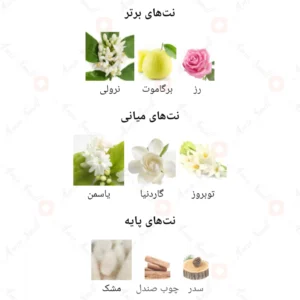 ادکلن زنانه لاموریس روونا 40 میل