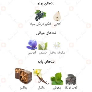 ادکلن زنانه لایو سته بلز روونا