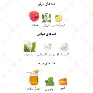 ادکلن زنانه لیدی بیلیون روونا