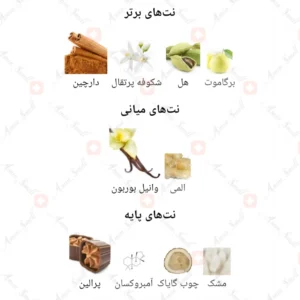 ادکلن مردانه لیکوئید برون فرنچ اونیو