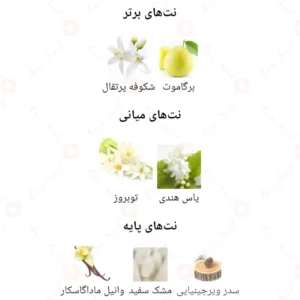 ادکلن زنانه مای ویل روونا 40 میل