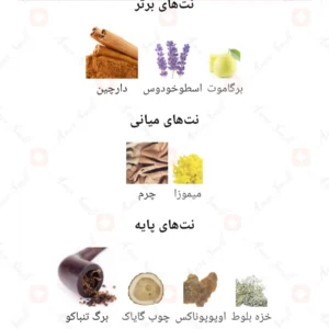  ادکلن مردانه لندن لایف روونا 