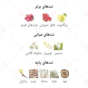 ادکلن زنانه ملودی آرورا سنتس