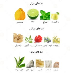 ادکلن مردانه پورتورو آرورا سنتس