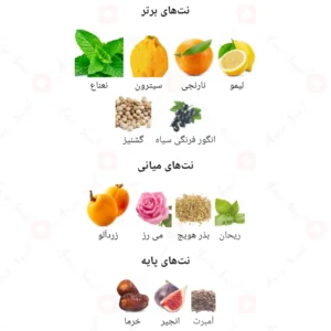ادکلن مردانه چیس بلو من ویتس