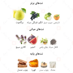ادکلن مردانه چیس سیلور من ویتس