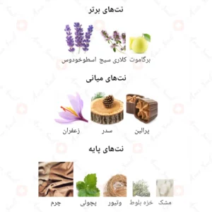 ادکلن مردانه ان اکواسترین سریس هیدن فرنچ اونیو