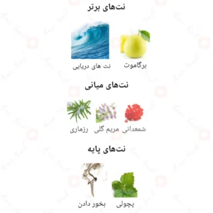 ادکلن مردانه اکواتیک د ریو روونا