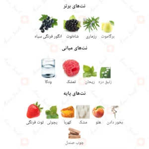 ادکلن زنانه ولکان بای فرنچ اونیو